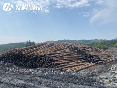 河道打樁為什么選擇松木樁來處理軟地基？-松木樁施工使用范圍